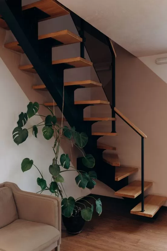 Frame 1.jpg